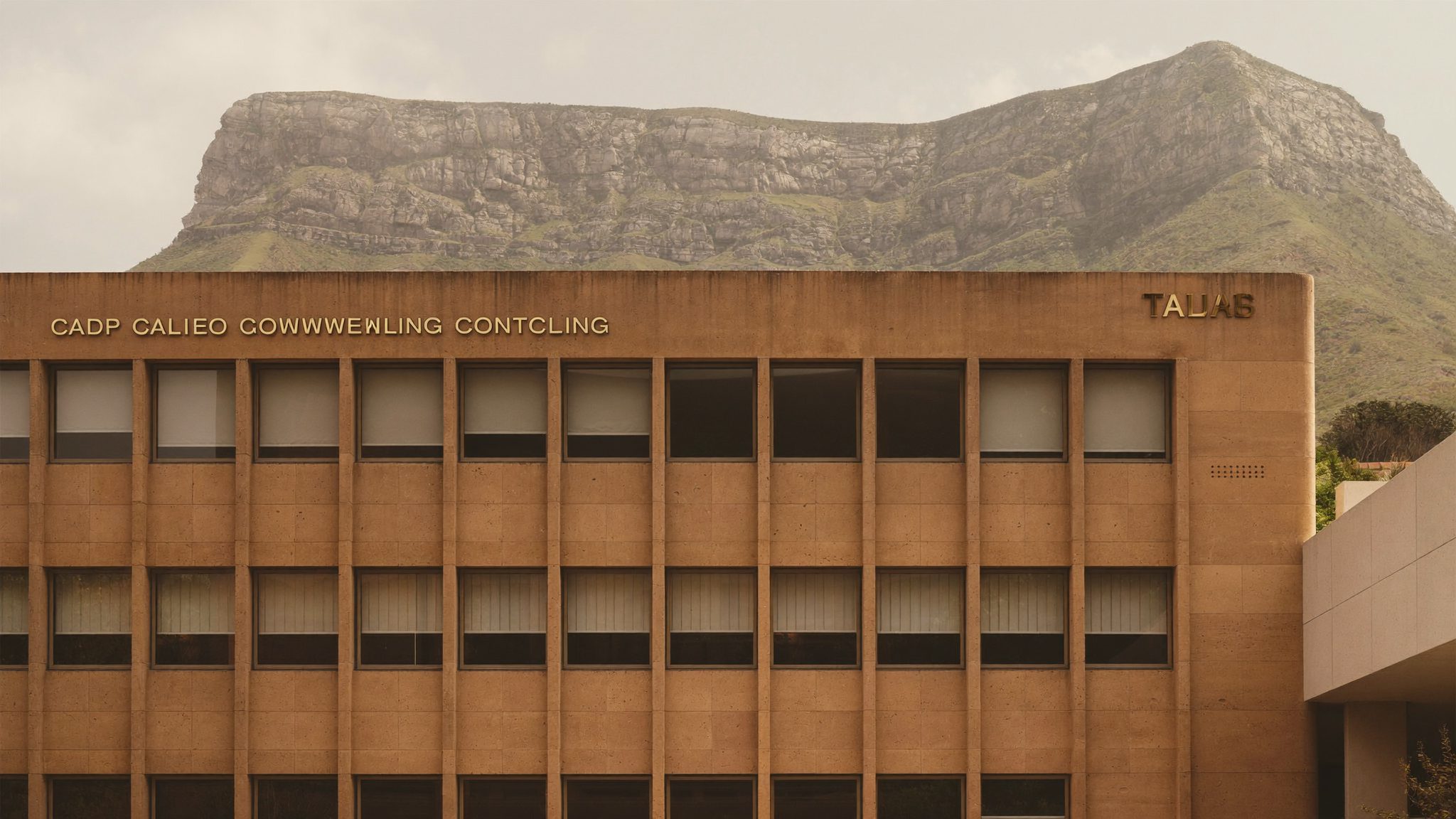 Wealth Pathway advisory office facade on Kloof Street, Cape Town